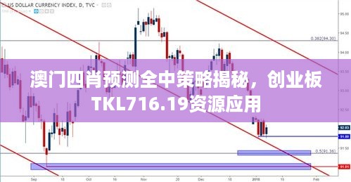 澳门四肖预测全中策略揭秘，创业板TKL716.19资源应用