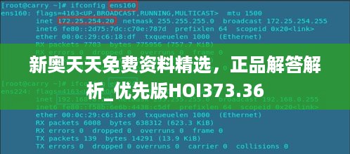 新奥天天免费资料精选，正品解答解析_优先版HOI373.36