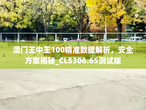 澳门王中王100精准数据解析，安全方案揭秘_CLS306.65测试版