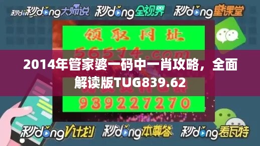 2014年管家婆一码中一肖攻略，全面解读版TUG839.62