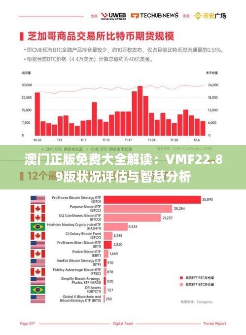 澳门正版免费大全解读：VMF22.89版状况评估与智慧分析