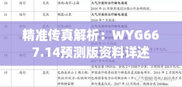 精准传真解析：WYG667.14预测版资料详述