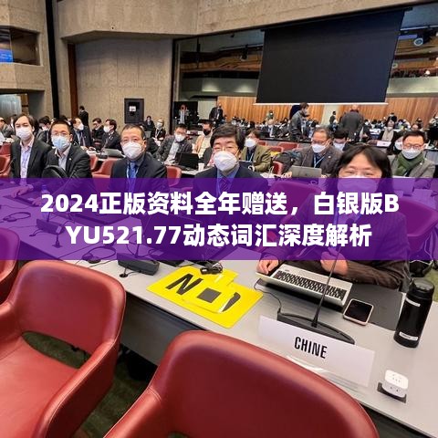 2024正版资料全年赠送，白银版BYU521.77动态词汇深度解析