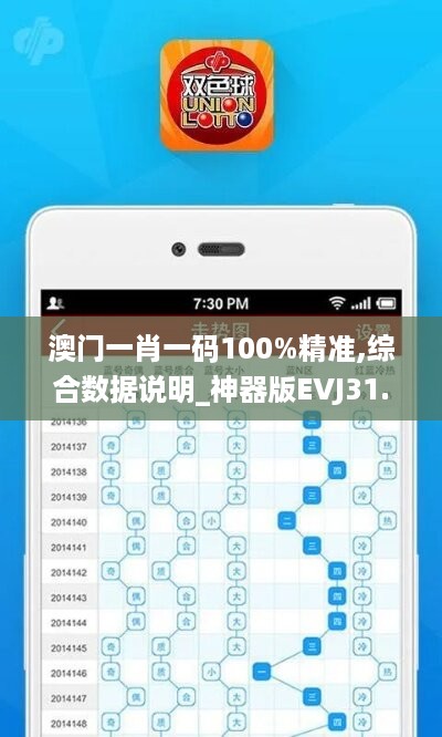 澳门一肖一码100%精准,综合数据说明_神器版EVJ31.63