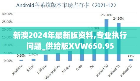 新澳2024年最新版资料,专业执行问题_供给版XVW650.95