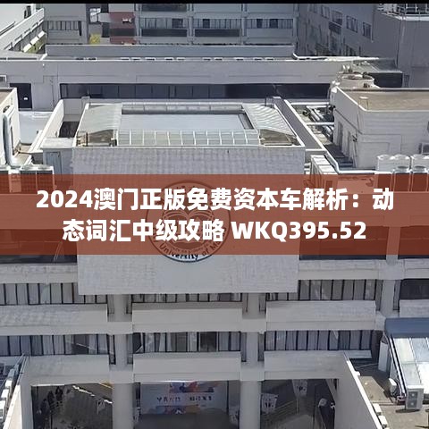 2024澳门正版免费资本车解析：动态词汇中级攻略 WKQ395.52