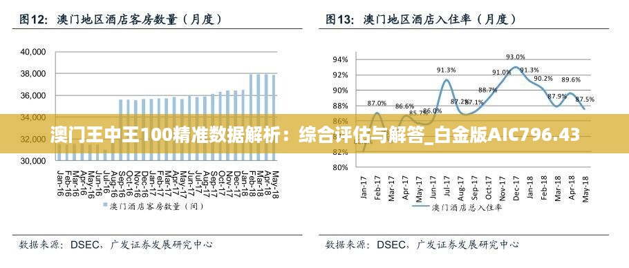 澳门王中王100精准数据解析：综合评估与解答_白金版AIC796.43