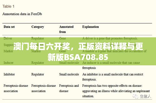 澳门每日六开奖，正版资料详释与更新版BSA708.85