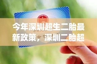 深圳二胎超生政策下的自然之旅，探寻心灵平静的绿洲与最新政策解读