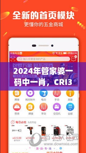 2024年管家婆一码中一肖，CRI337.81日常版安全评估策略