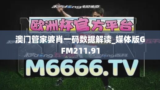 澳门管家婆肖一码数据解读_媒体版GFM211.91