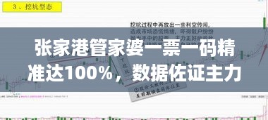 张家港管家婆一票一码精准达100%，数据佐证主力版DLR379.74