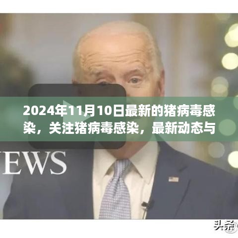 2024年猪病毒感染最新动态，应对策略与关注焦点