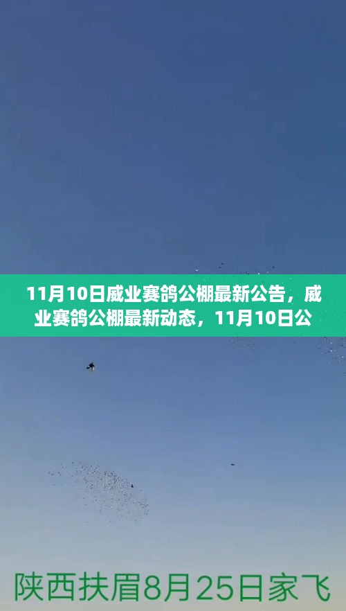 2024年11月10日 第8页