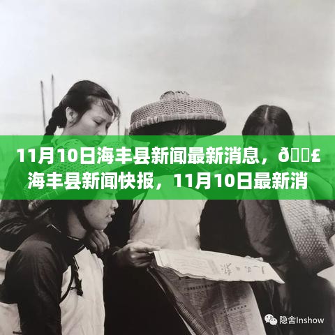 海丰县新闻快报，掌握时事热点，最新消息速递（11月10日）