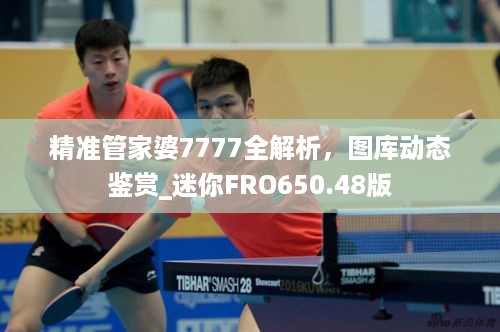 精准管家婆7777全解析，图库动态鉴赏_迷你FRO650.48版