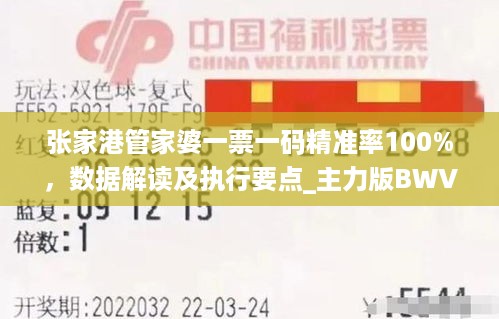 张家港管家婆一票一码精准率100%，数据解读及执行要点_主力版BWV283.03