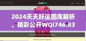 2024天天好运图库解析，精彩公开WQI746.83资料集