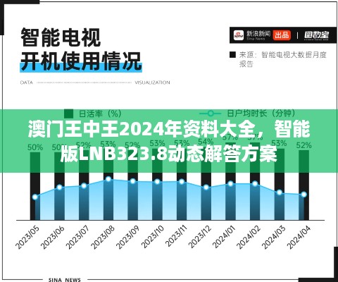 澳门王中王2024年资料大全，智能版LNB323.8动态解答方案