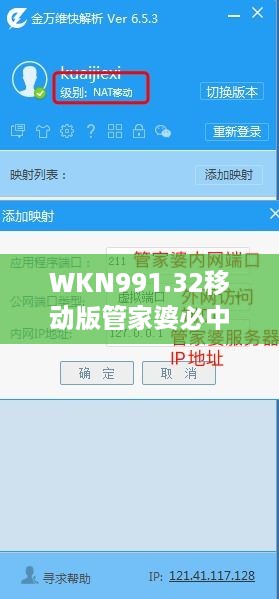 WKN991.32移动版管家婆必中一期，揭秘正品解析定义