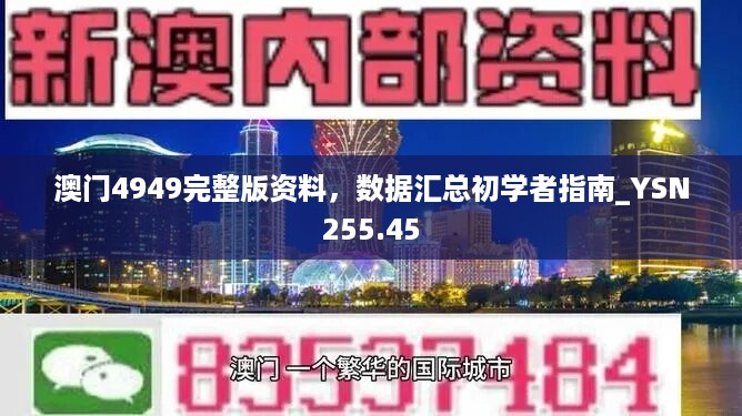 澳门4949完整版资料，数据汇总初学者指南_YSN255.45