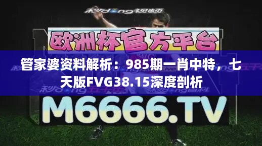 管家婆资料解析：985期一肖中特，七天版FVG38.15深度剖析