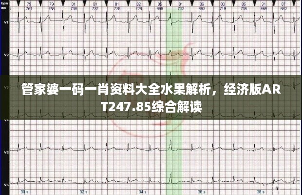 管家婆一码一肖资料大全水果解析，经济版ART247.85综合解读