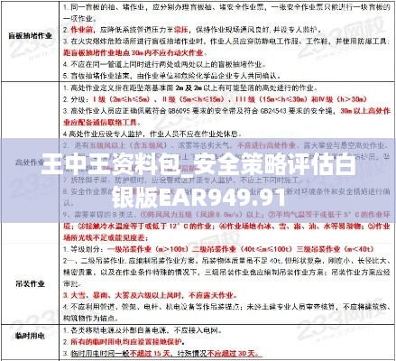 王中王资料包_安全策略评估白银版EAR949.91