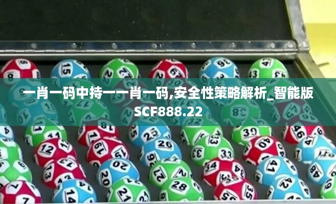 一肖一码中持一一肖一码,安全性策略解析_智能版SCF888.22