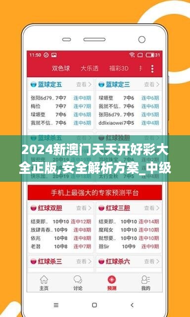 2024新澳门天天开好彩大全正版,安全解析方案_中级版178.37