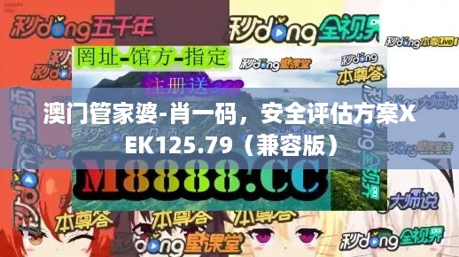 澳门管家婆-肖一码，安全评估方案XEK125.79（兼容版）