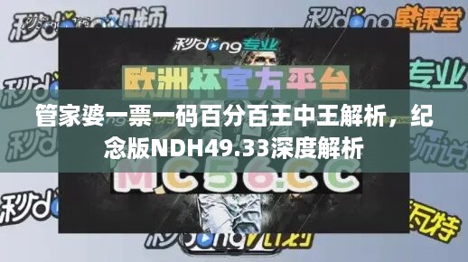 管家婆一票一码百分百王中王解析，纪念版NDH49.33深度解析