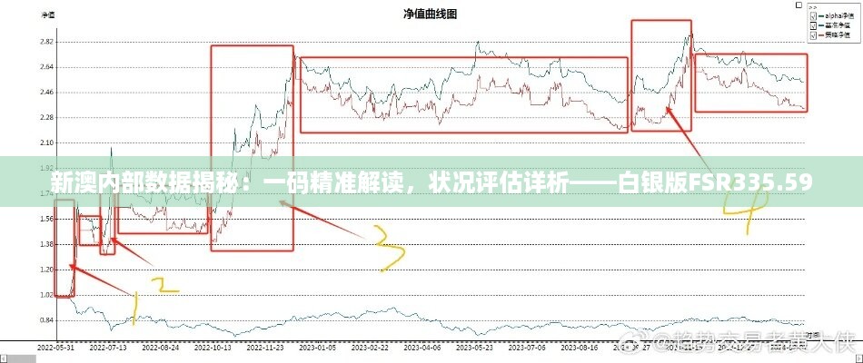 新澳内部数据揭秘：一码精准解读，状况评估详析——白银版FSR335.59