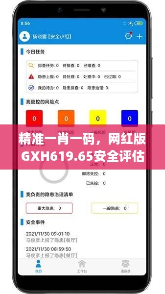 精准一肖一码，网红版GXH619.65安全评估策略