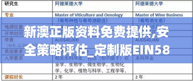 新澳正版资料免费提供,安全策略评估_定制版EIN580