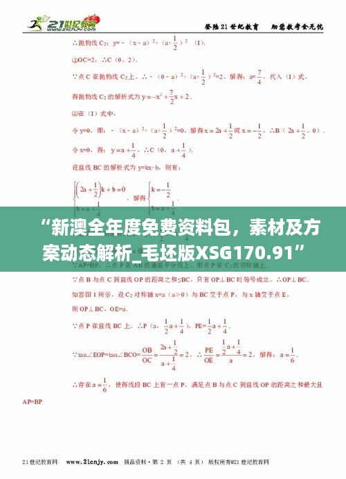 “新澳全年度免费资料包，素材及方案动态解析_毛坯版XSG170.91”