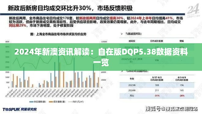 2024年新澳资讯解读：自在版DQP5.38数据资料一览