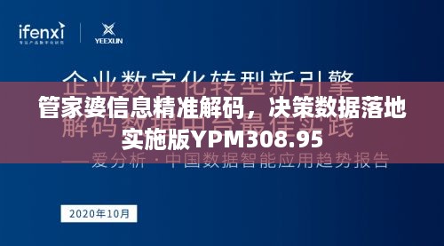 管家婆信息精准解码，决策数据落地实施版YPM308.95