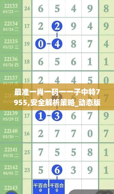 最准一肖一码一一子中特7955,安全解析策略_动态版HOU498.13