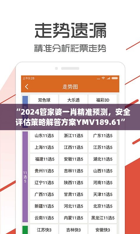 “2024管家婆一肖精准预测，安全评估策略解答方案YMV189.61”