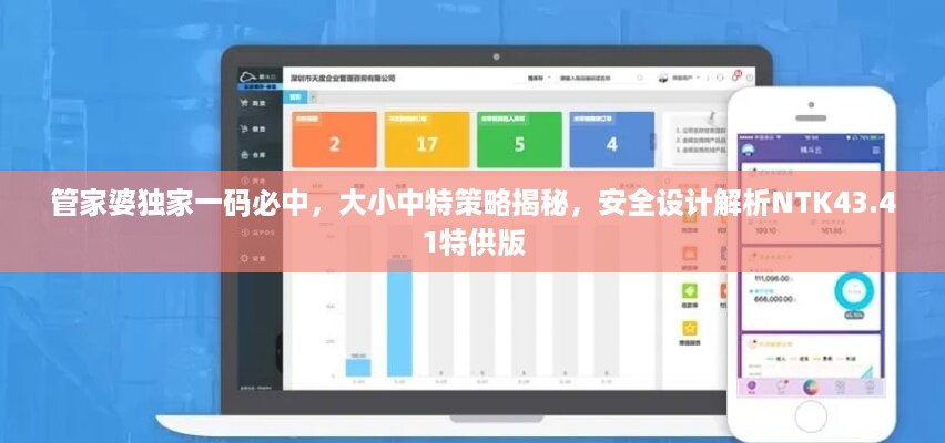 管家婆独家一码必中，大小中特策略揭秘，安全设计解析NTK43.41特供版