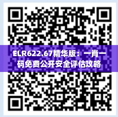 ELR622.67精华版：一肖一码免费公开安全评估攻略