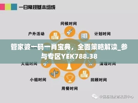 管家婆一码一肖宝典，全面策略解读_参与专区YEK788.38