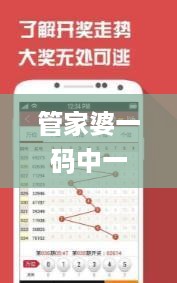 管家婆一码中一肖,最新热门解答定义_冒险版IMO658.56