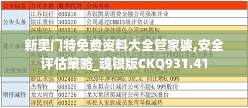 新奥门特免费资料大全管家婆,安全评估策略_魂银版CKQ931.41