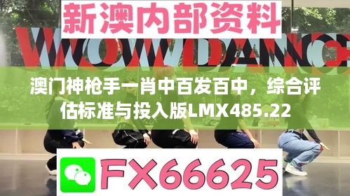 澳门神枪手一肖中百发百中，综合评估标准与投入版LMX485.22