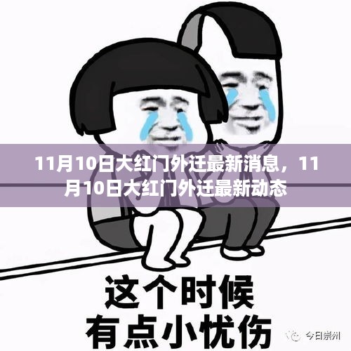 11月10日大红外迁最新动态与消息更新