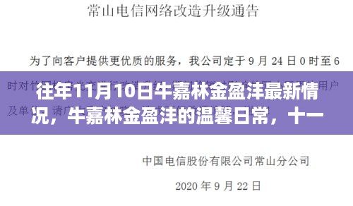 牛嘉林金盈沣十一月十日的最新动态，温馨日常的新篇章