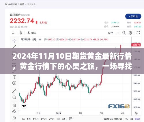 揭秘黄金行情下的心灵之旅，2024年11月黄金行情深度解析