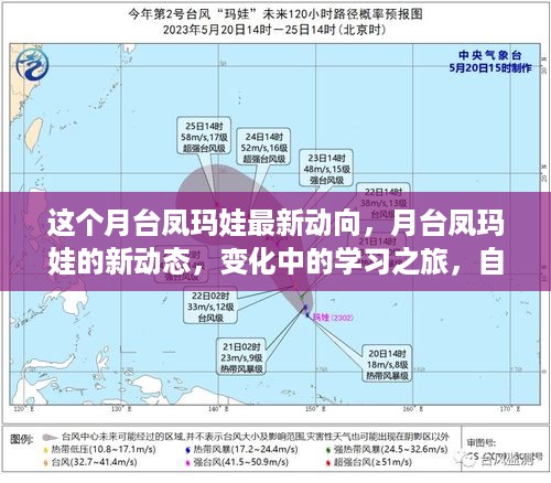 月台凤玛娃新动态揭秘，学习之旅的变革与自信成就感的魔法之旅